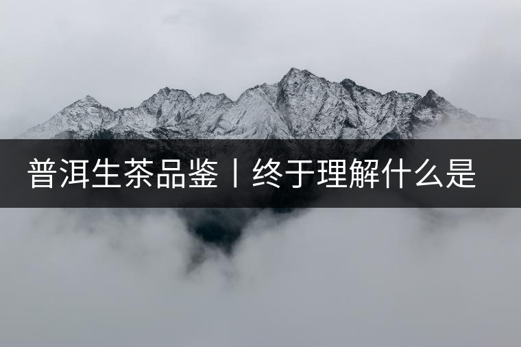 普洱生茶品鑒丨終于理解什么是“醇厚、耐泡，回甘”了