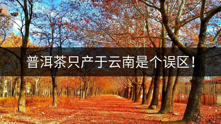 普洱茶只產(chǎn)于云南是個(gè)誤區(qū)！