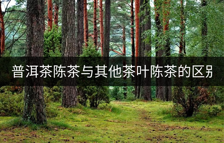 普洱茶陳茶與其他茶葉陳茶的區(qū)別！