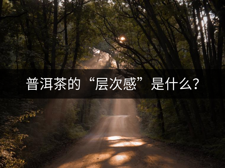 普洱茶的“層次感”是什么？