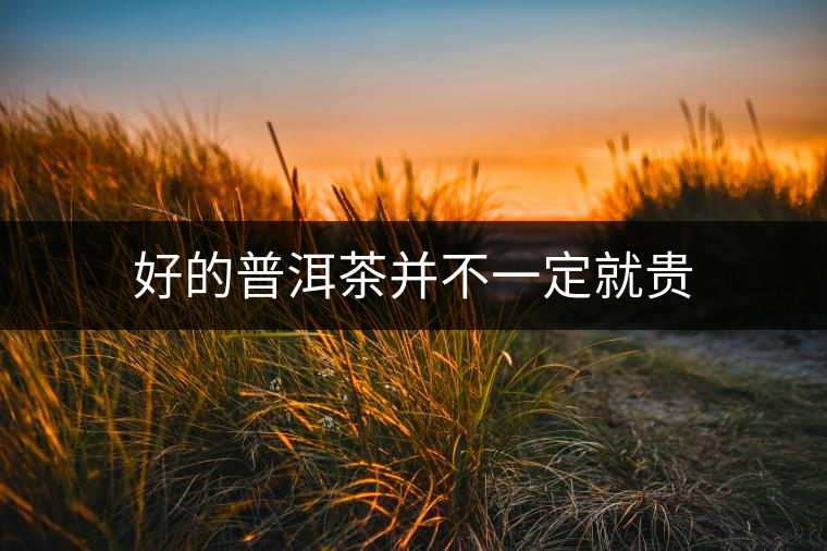 好的普洱茶并不一定就貴 好的普洱茶并不一定就貴