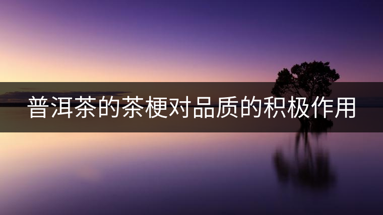 普洱茶的茶梗對品質的積極作用