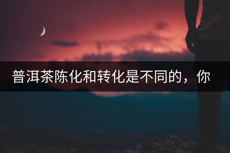 普洱茶陳化和轉(zhuǎn)化是不同的，你造嗎？