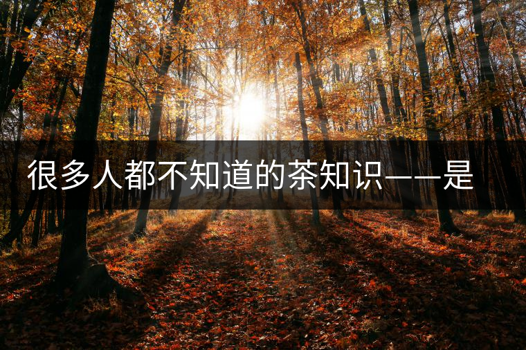 很多人都不知道的茶知識——是什么造就了普洱茶的一山一味？