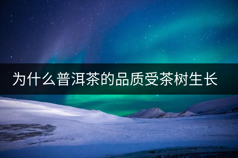 為什么普洱茶的品質(zhì)受茶樹生長(zhǎng)環(huán)境的影響？