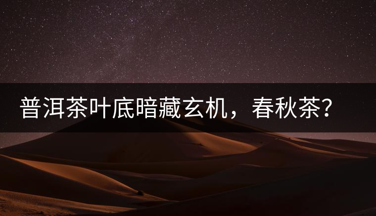 普洱茶葉底暗藏玄機，春秋茶？大樹茶？野生茶？班章料？你讀懂了嗎？