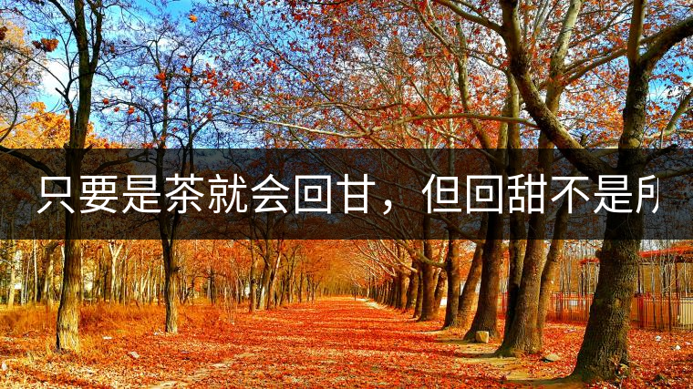 只要是茶就會回甘，但回甜不是所有茶都有！