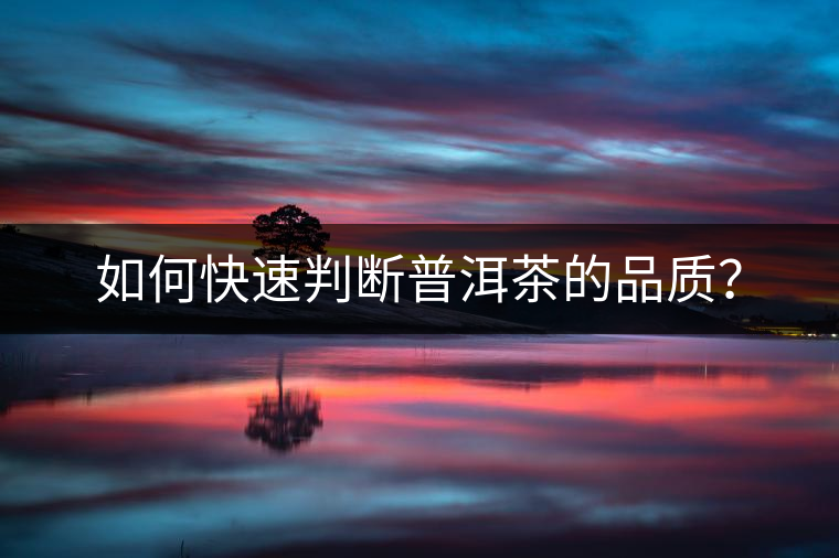 如何快速判斷普洱茶的品質(zhì)？