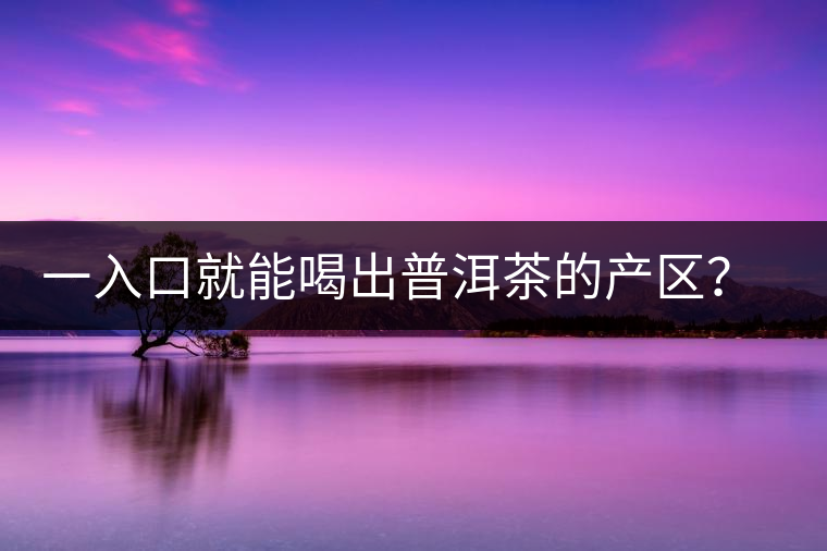 一入口就能喝出普洱茶的產(chǎn)區(qū)？怎么能不讀這篇文章呢？