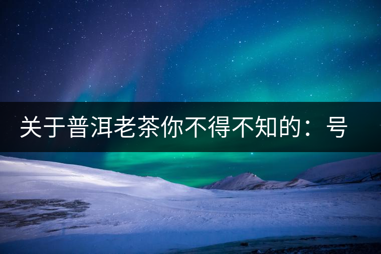 關于普洱老茶你不得不知的：號級茶、印級茶、七子餅茶