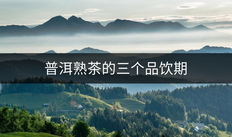 普洱熟茶的三個(gè)品飲期