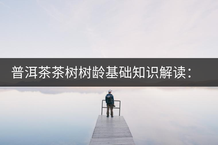 普洱茶茶樹樹齡基礎(chǔ)知識解讀：多大樹齡的茶才算古樹茶？