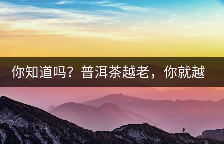 你知道嗎？普洱茶越老，你就越年輕