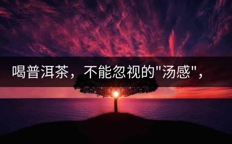 喝普洱茶，不能忽視的