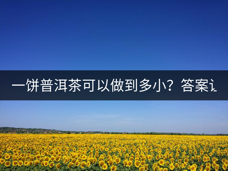 一餅普洱茶可以做到多??？答案讓人意想不到...