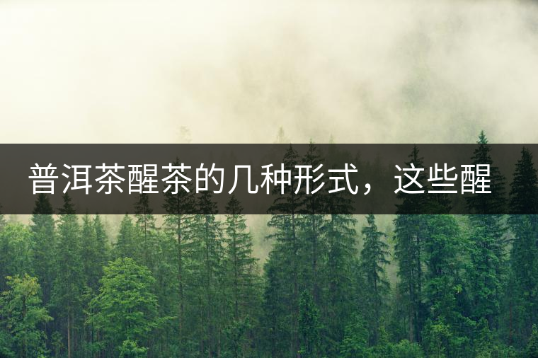 普洱茶醒茶的幾種形式，這些醒茶方法你都會了嗎？
