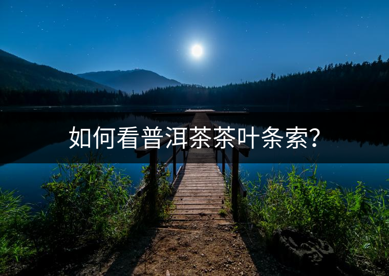 如何看普洱茶茶葉條索？