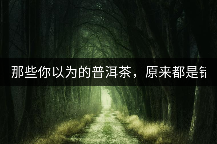 那些你以為的普洱茶，原來都是錯的！