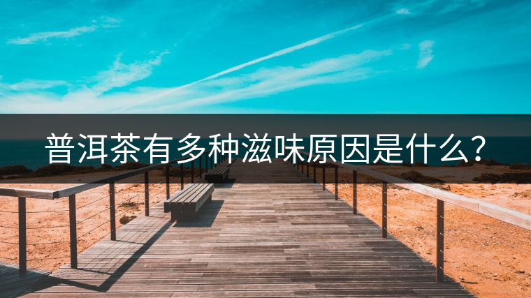 普洱茶有多種滋味原因是什么？