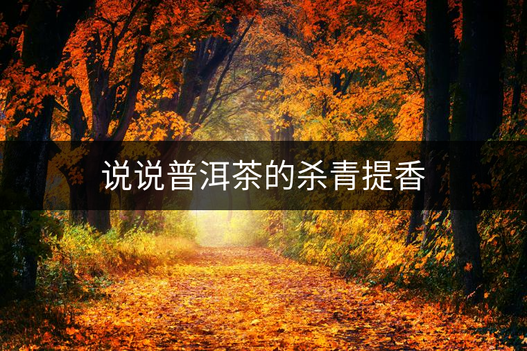 說說普洱茶的殺青提香