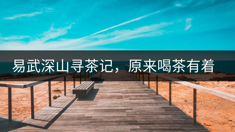 易武深山尋茶記,原來喝茶有著這么多誤區(qū) 易武深山尋茶記,原來喝茶有著這么多誤區(qū)