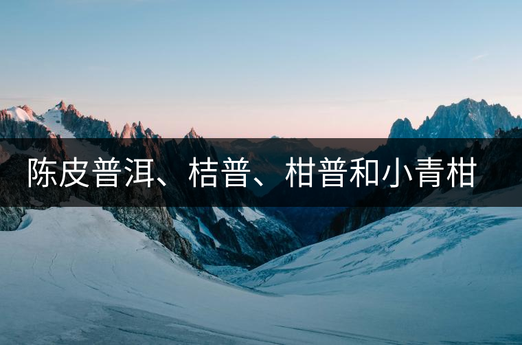 陳皮普洱、桔普、柑普和小青柑茶的分辨技巧