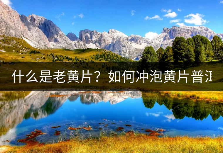 什么是老黃片？如何沖泡黃片普洱茶？