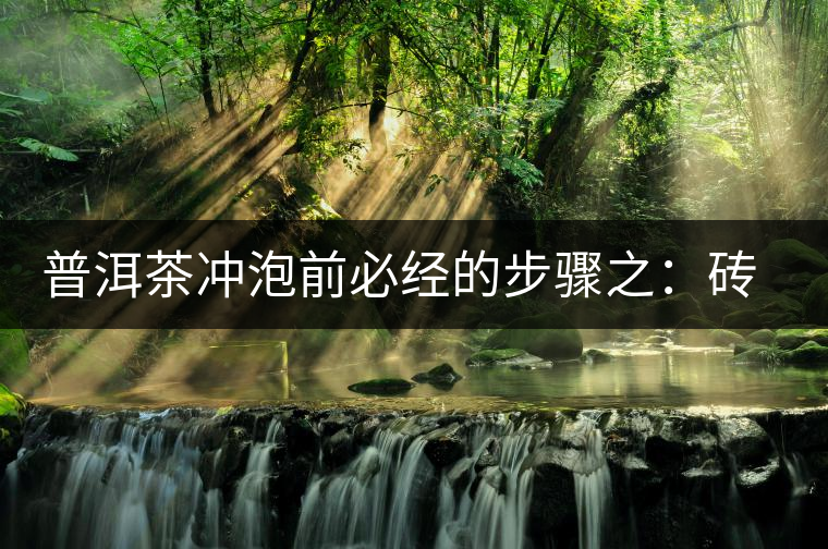 普洱茶沖泡前必經(jīng)的步驟之：磚茶如何撬？