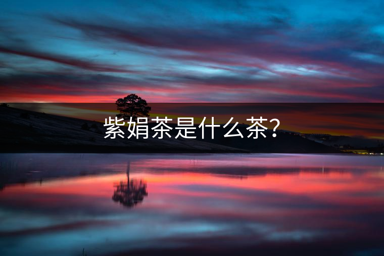 紫娟茶是什么茶？