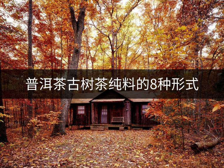 普洱茶古樹(shù)茶純料的8種形式 普洱茶古樹(shù)茶純料的8種形式