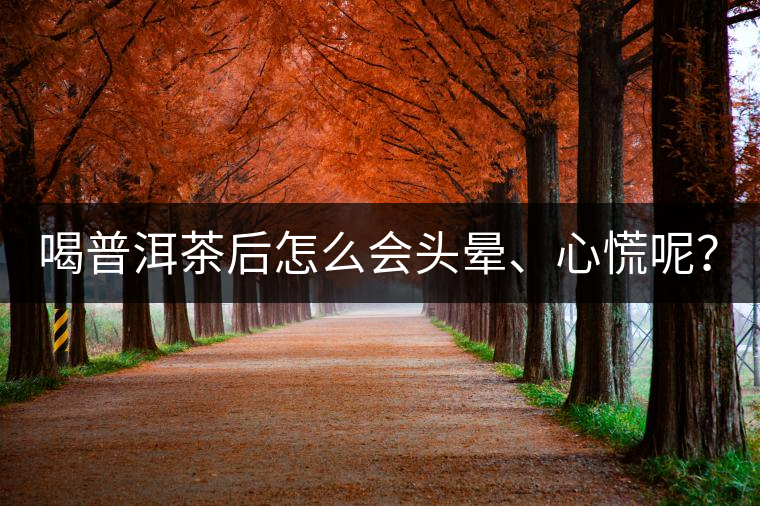 喝普洱茶后怎么會頭暈、心慌呢？