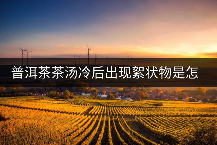 普洱茶茶湯冷后出現(xiàn)絮狀物是怎么回事？