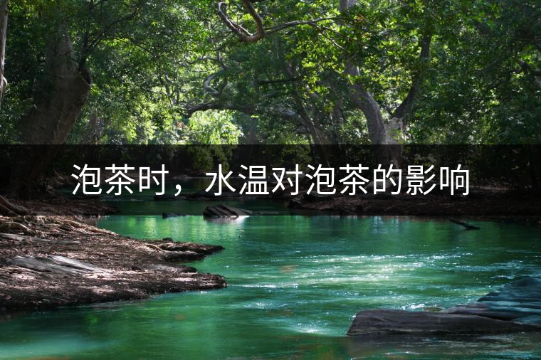 泡茶時(shí)，水溫對(duì)泡茶的影響