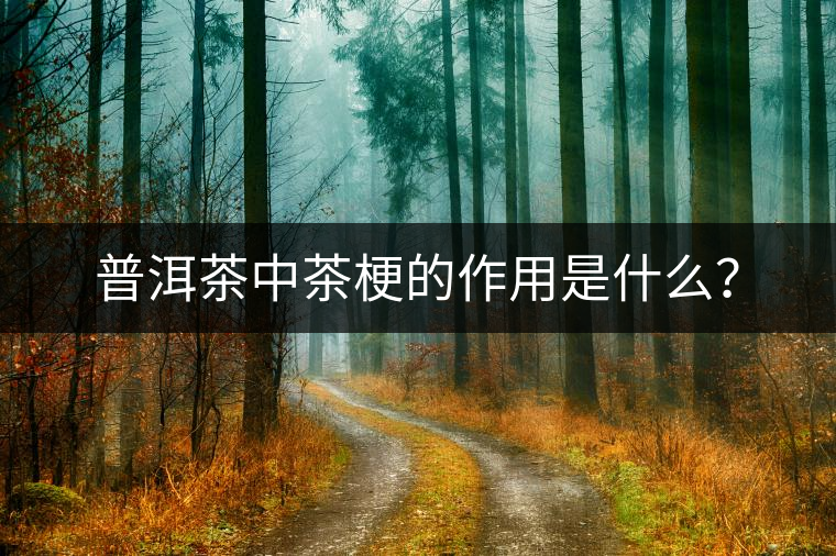 普洱茶中茶梗的作用是什么？