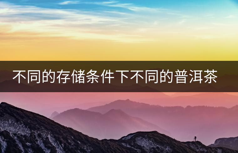不同的存儲(chǔ)條件下不同的普洱茶倉位解析 不同的存儲(chǔ)條件下不同的普洱茶倉位解析