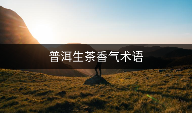 普洱生茶香氣術(shù)語 普洱生茶香氣術(shù)語
