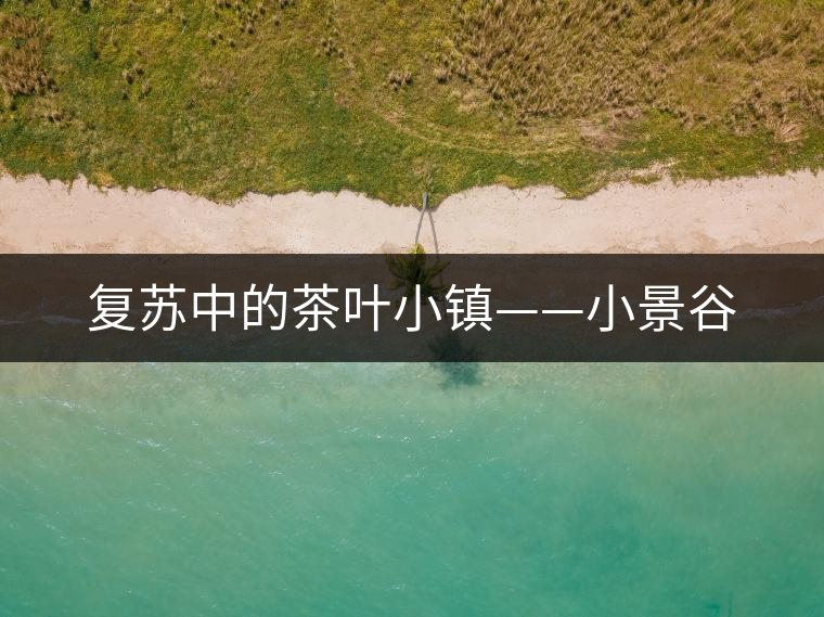 復蘇中的茶葉小鎮(zhèn)——小景谷