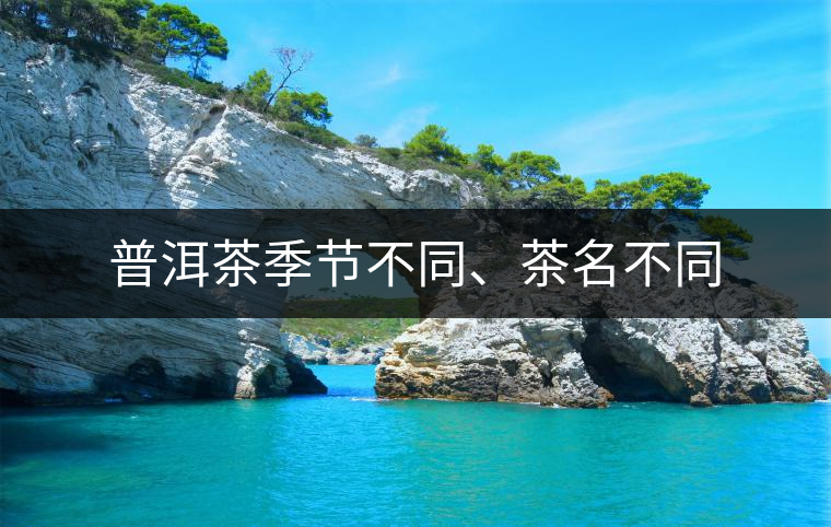 普洱茶季節(jié)不同、茶名不同