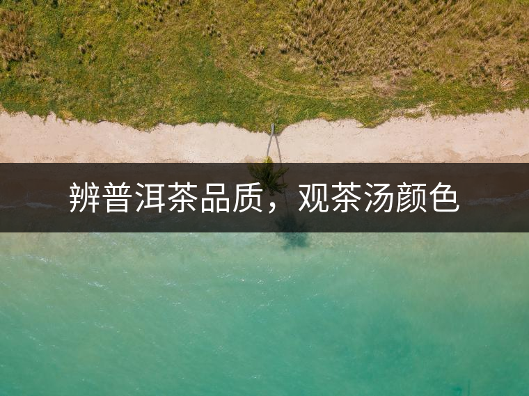 辨普洱茶品質(zhì)，觀茶湯顏色