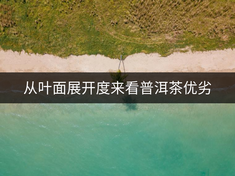 從葉面展開度來(lái)看普洱茶優(yōu)劣