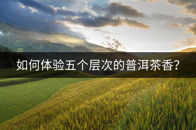 如何體驗(yàn)五個(gè)層次的普洱茶香？