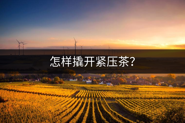 怎樣撬開緊壓茶？