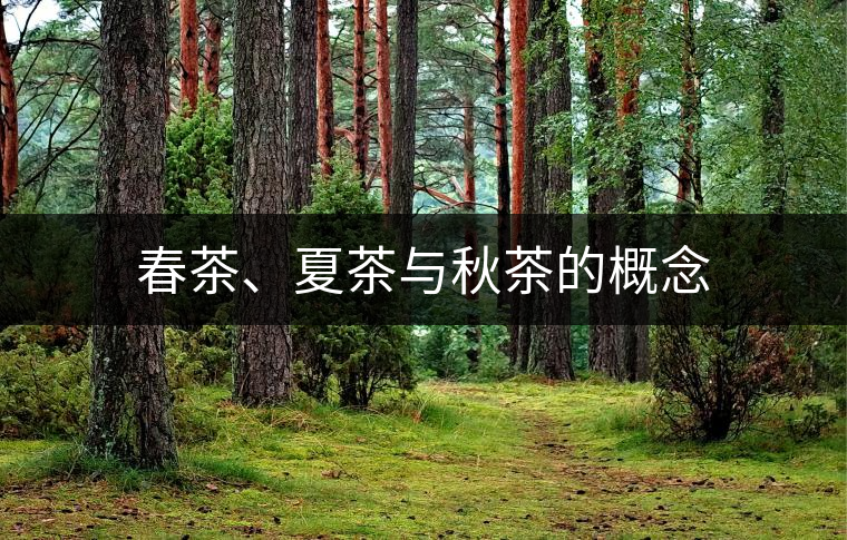 春茶、夏茶與秋茶的概念