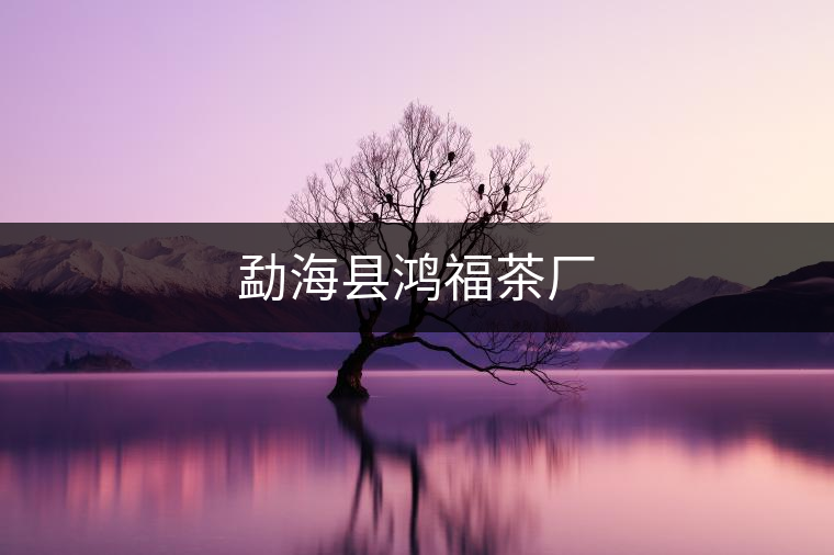 勐?？h鴻福茶廠