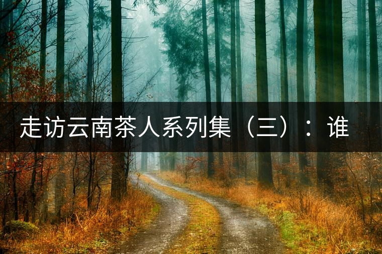 走訪云南茶人系列集（三）：誰(shuí)說(shuō)普洱不產(chǎn)茶？——張順高