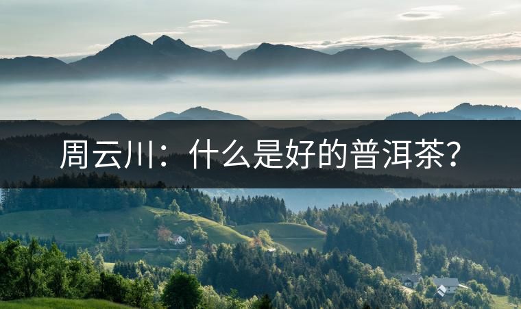 周云川：什么是好的普洱茶？