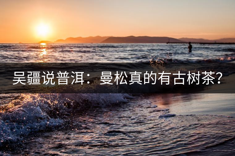 吳疆說普洱：曼松真的有古樹茶？