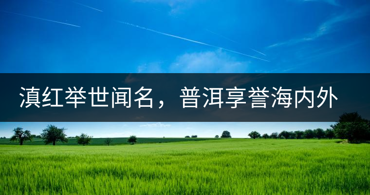 滇紅舉世聞名，普洱享譽(yù)海內(nèi)外丨專家座談——虞富蓮