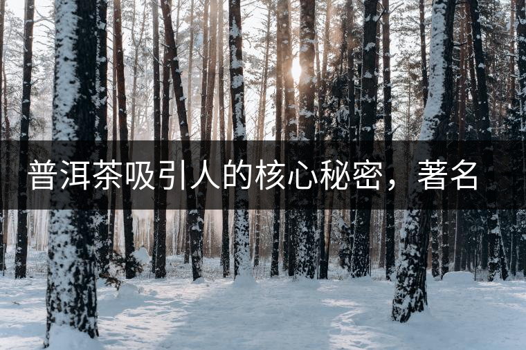 普洱茶吸引人的核心秘密，著名作家余秋雨先生三句話就告訴你