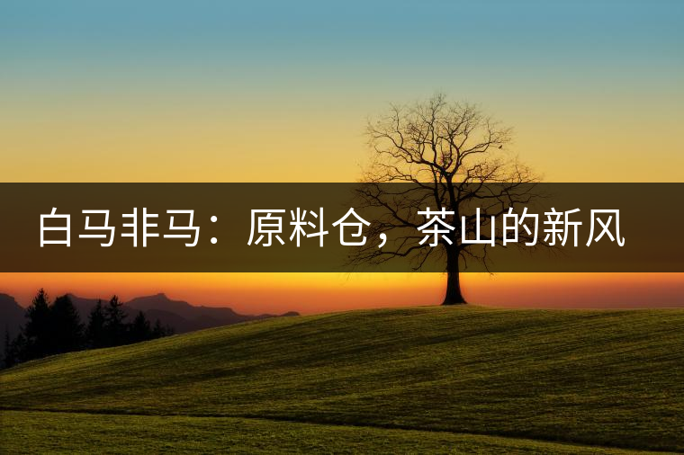 白馬非馬：原料倉(cāng)，茶山的新風(fēng)景